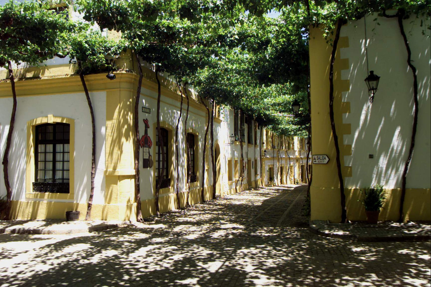 Bodega González Byass - Tío Pepe