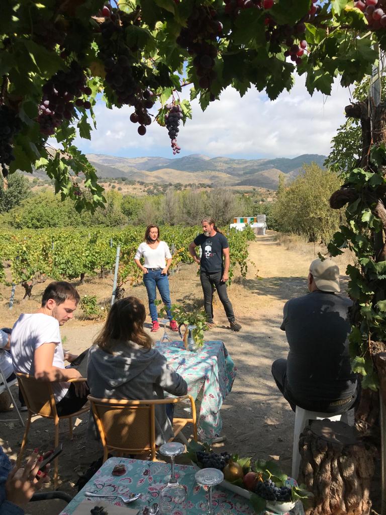 Vinos naturales de la Alpujarra almeriense