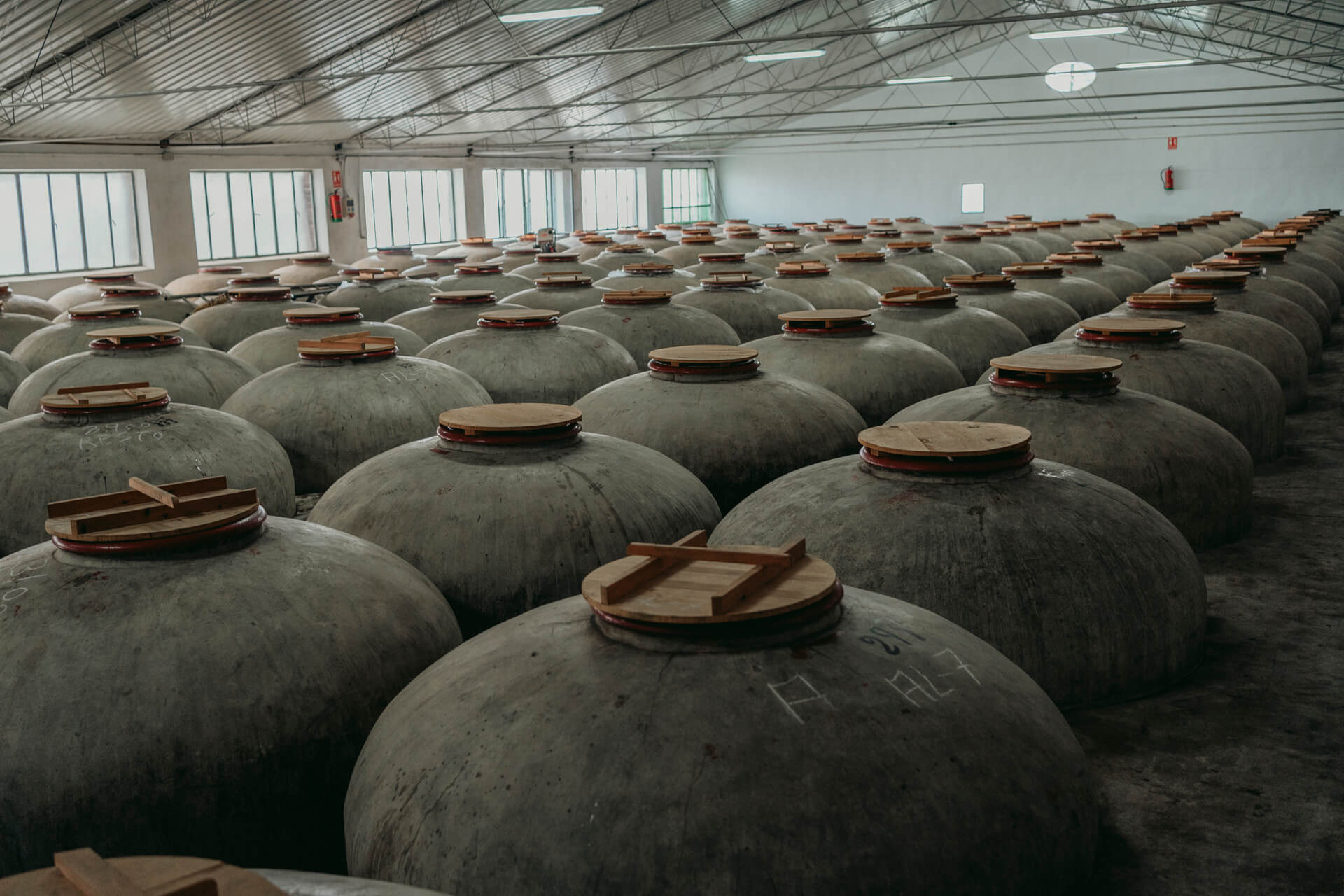 Bodegas San Acacio