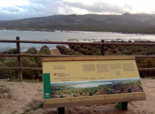 Laguna del Conde