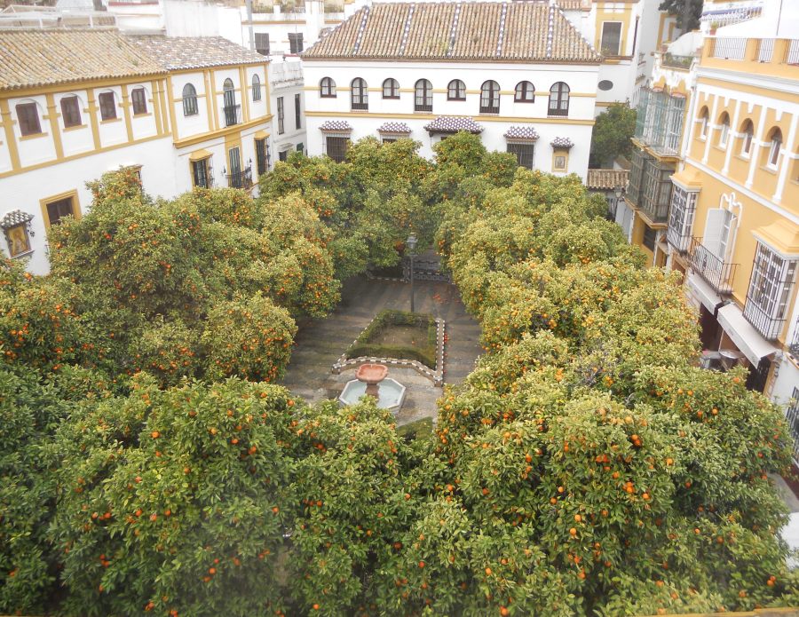 Plaza Doña Elvira