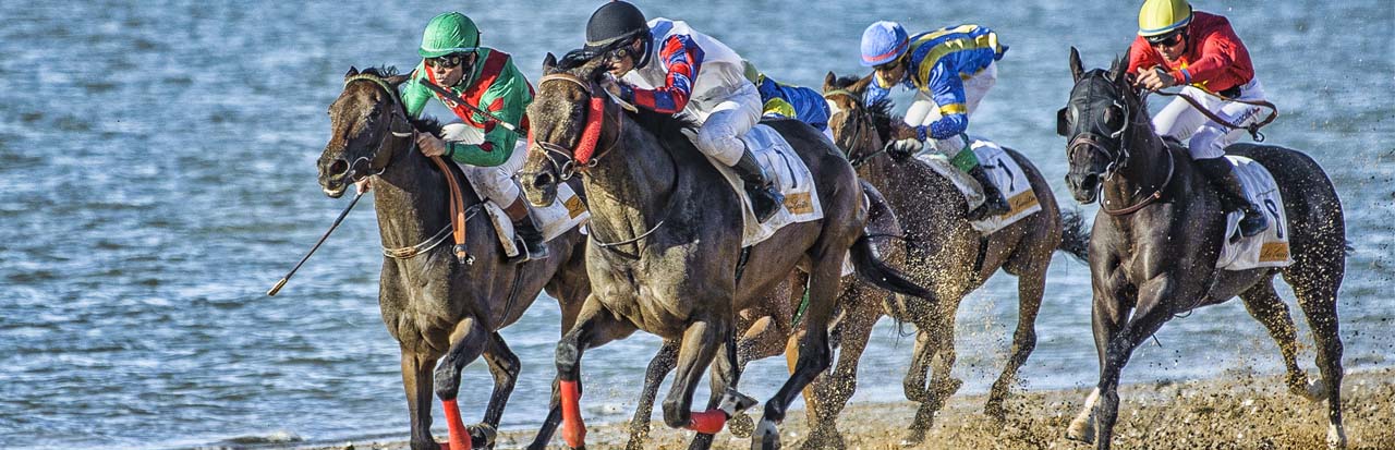 Sanlúcar de Barrameda horse races.