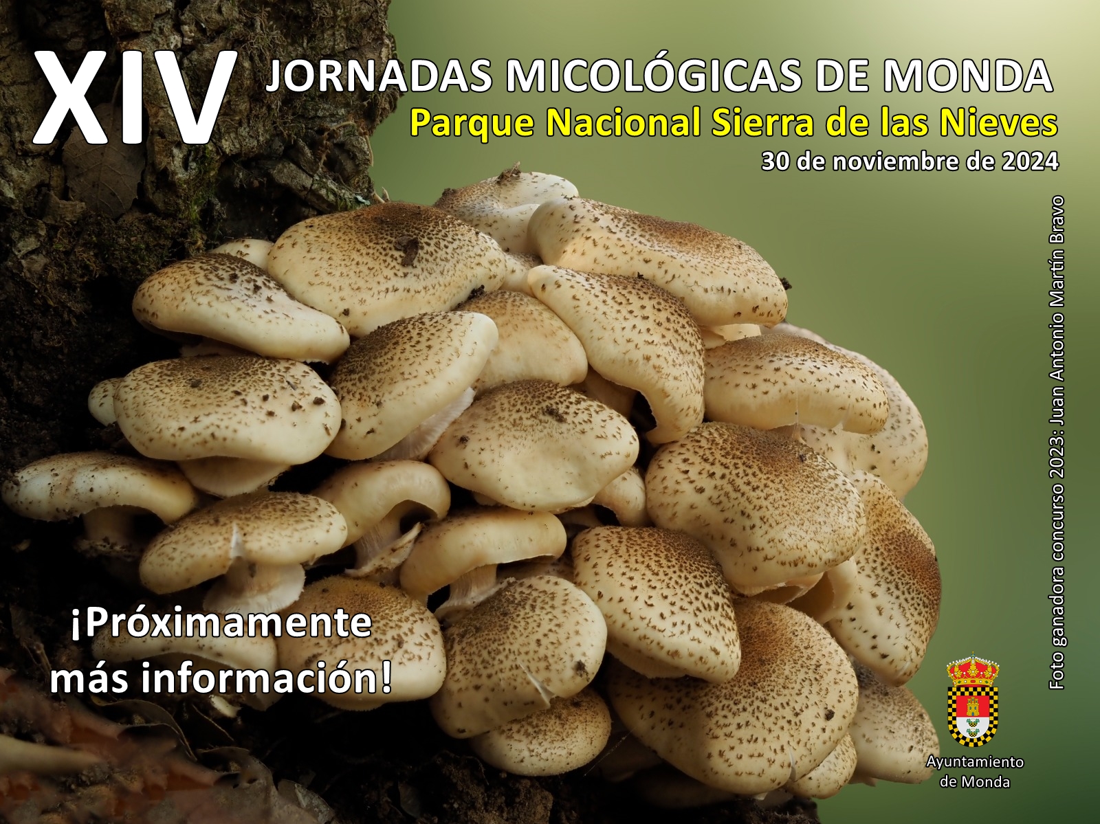 Monda Mycological Conferences