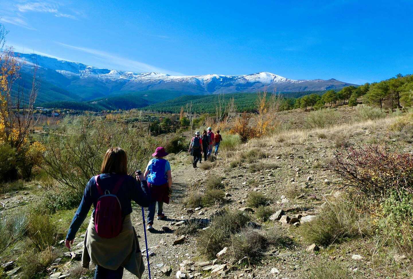 Marcha nórdica en Granada