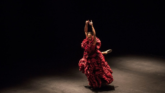 En la cuerda floja, flamenco