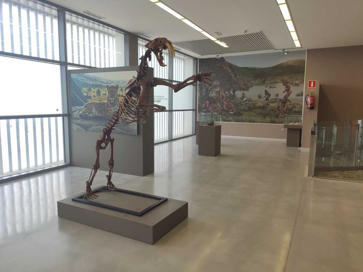 museo-prehistoria-orce