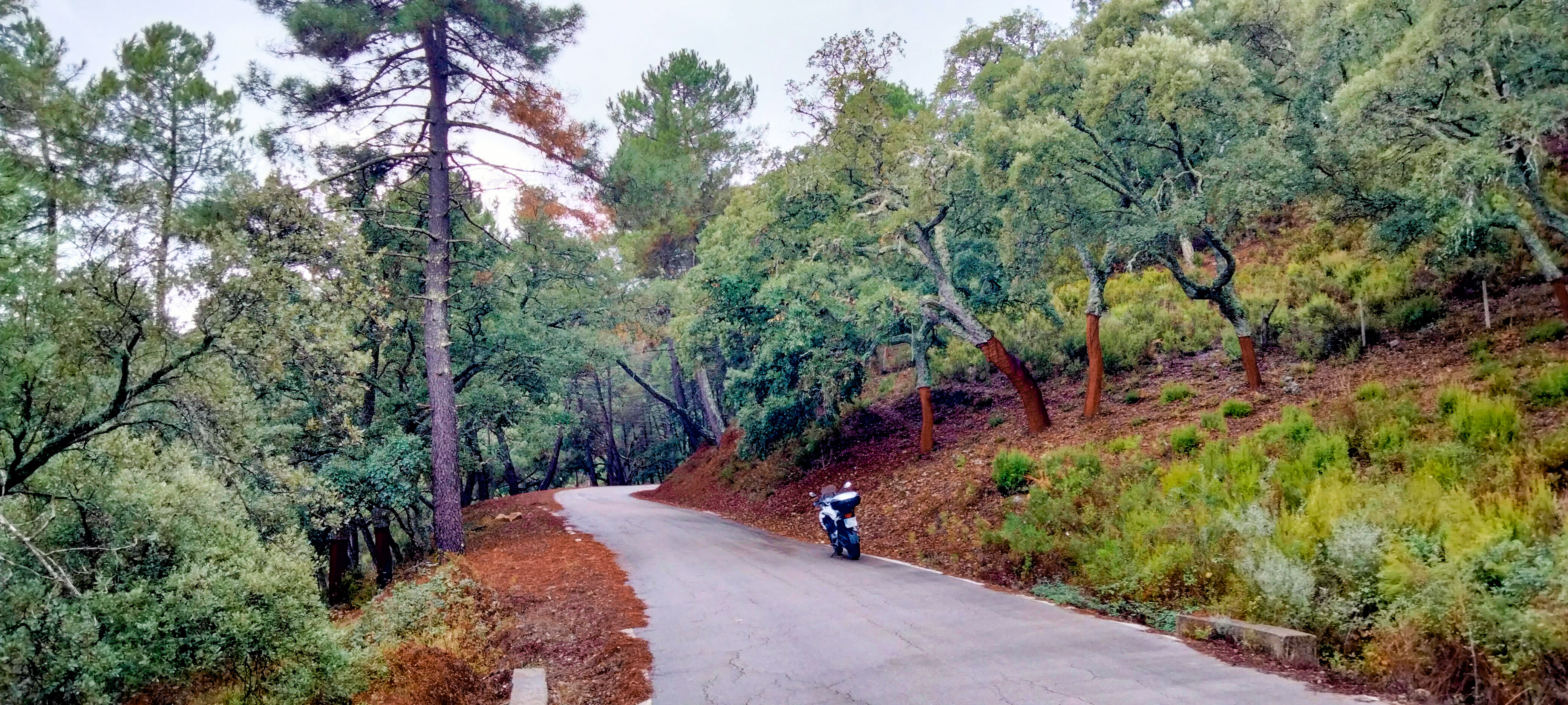 Itinéraire en moto de la Sierra de los Alcornocales