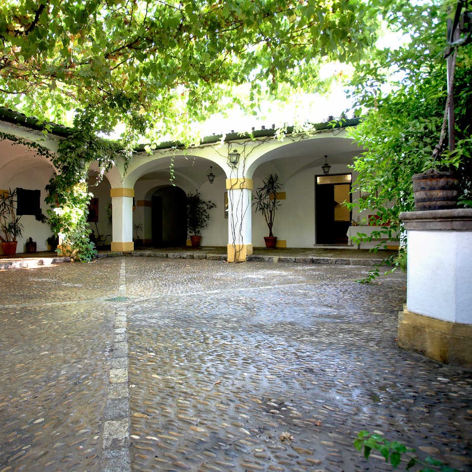 Bodegas Tradición