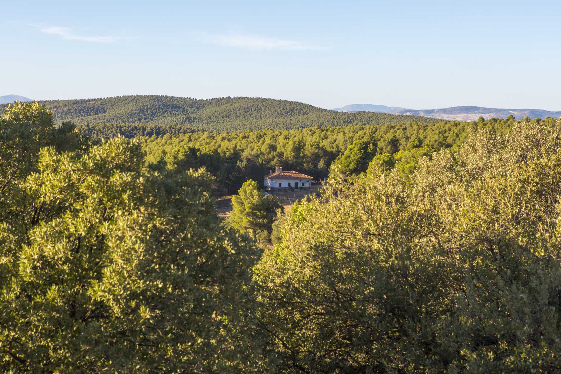 Conseils à un Touriste Écologique