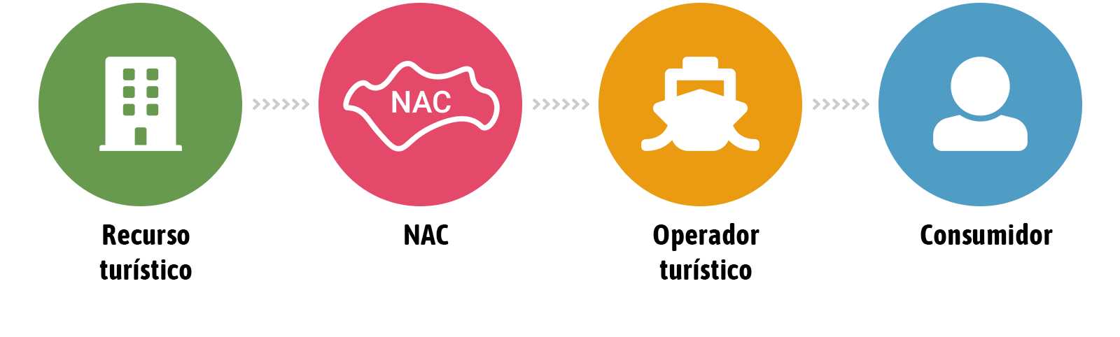 Infografía NAC
