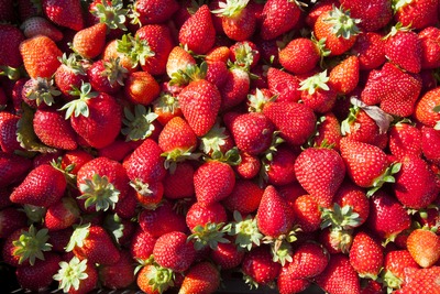 Huelva berries: Huelva strawberry and Palos strawberry