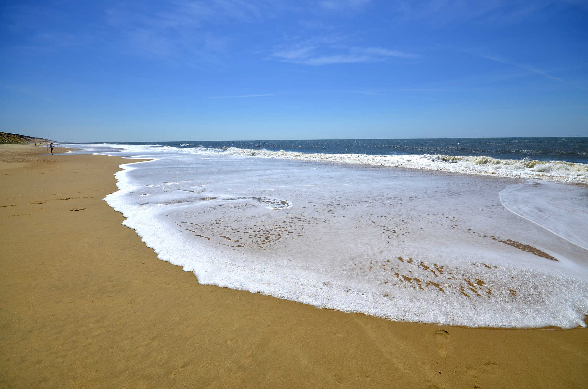 Naturaleza Sol y Playa las playas de Doñana (5).jpg