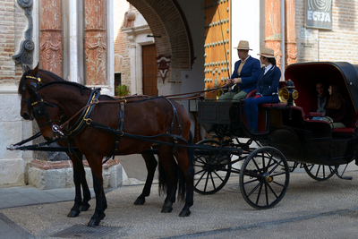 Discovering Ecija on horseback and horse-drawn carriages