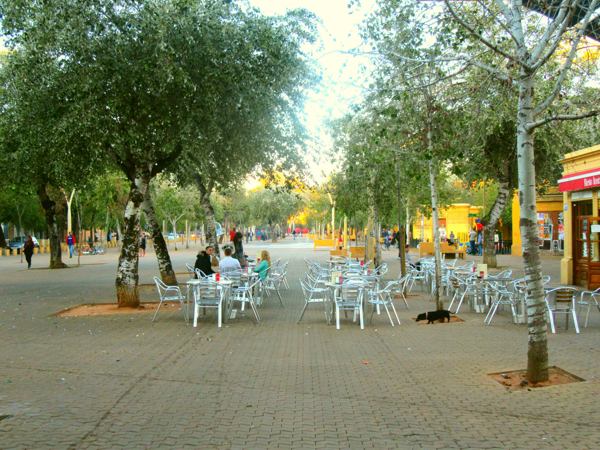 Ocio y DIversión Parque Terraza Alameda de Hercules Sevilla.jpg