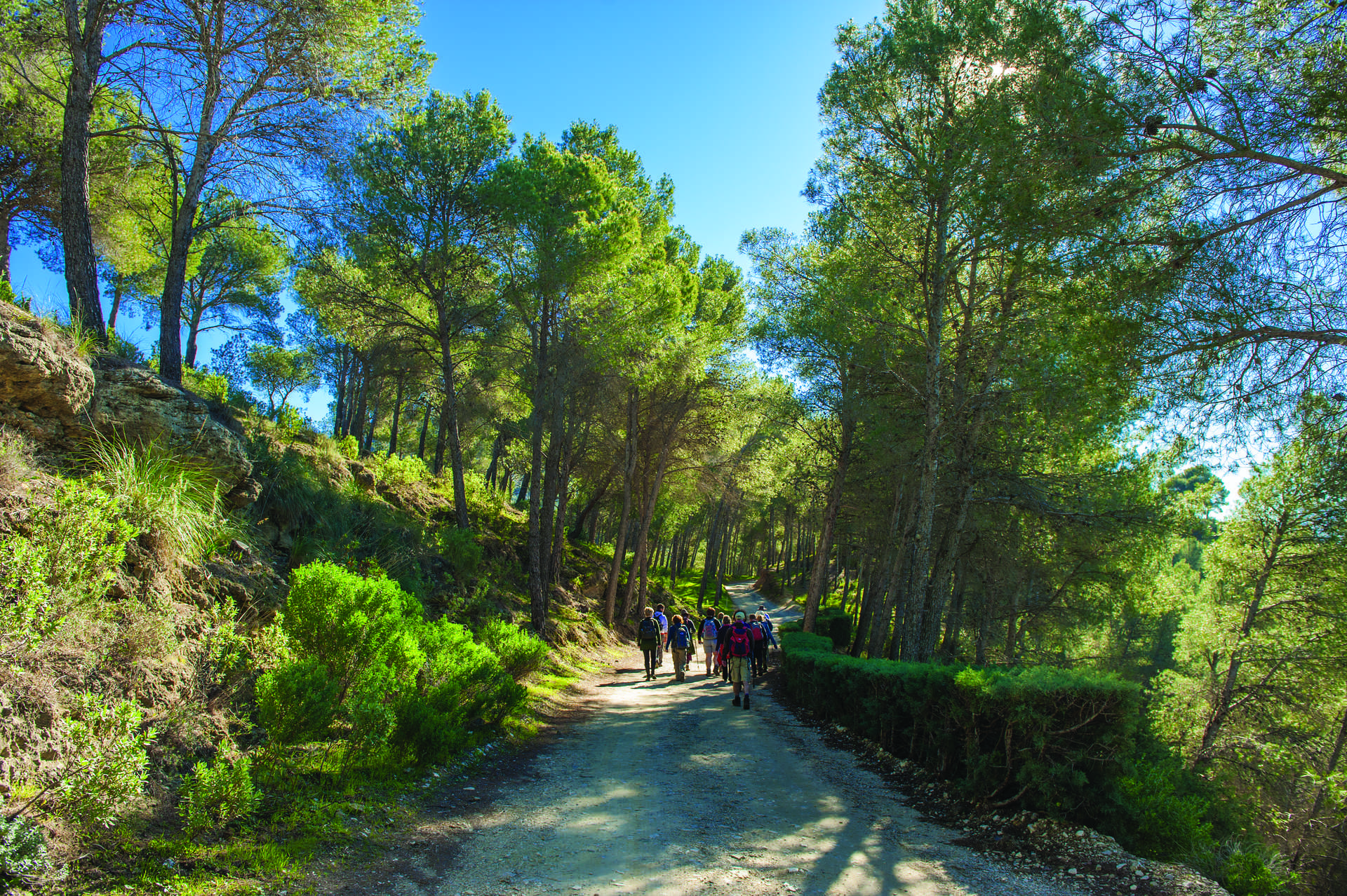 Hiking trails